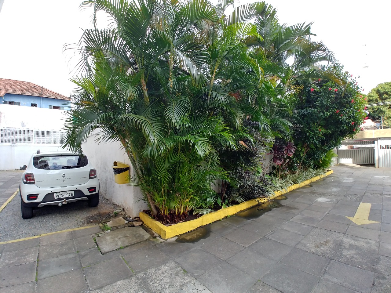 Apartamento para aluguel no Santo Amaro: 