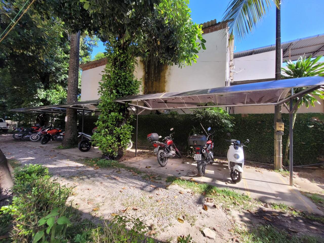 Apartamento para aluguel no Jardim São Paulo: 
