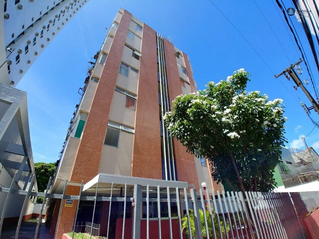 Apartamento para aluguel no Boa Vista: 