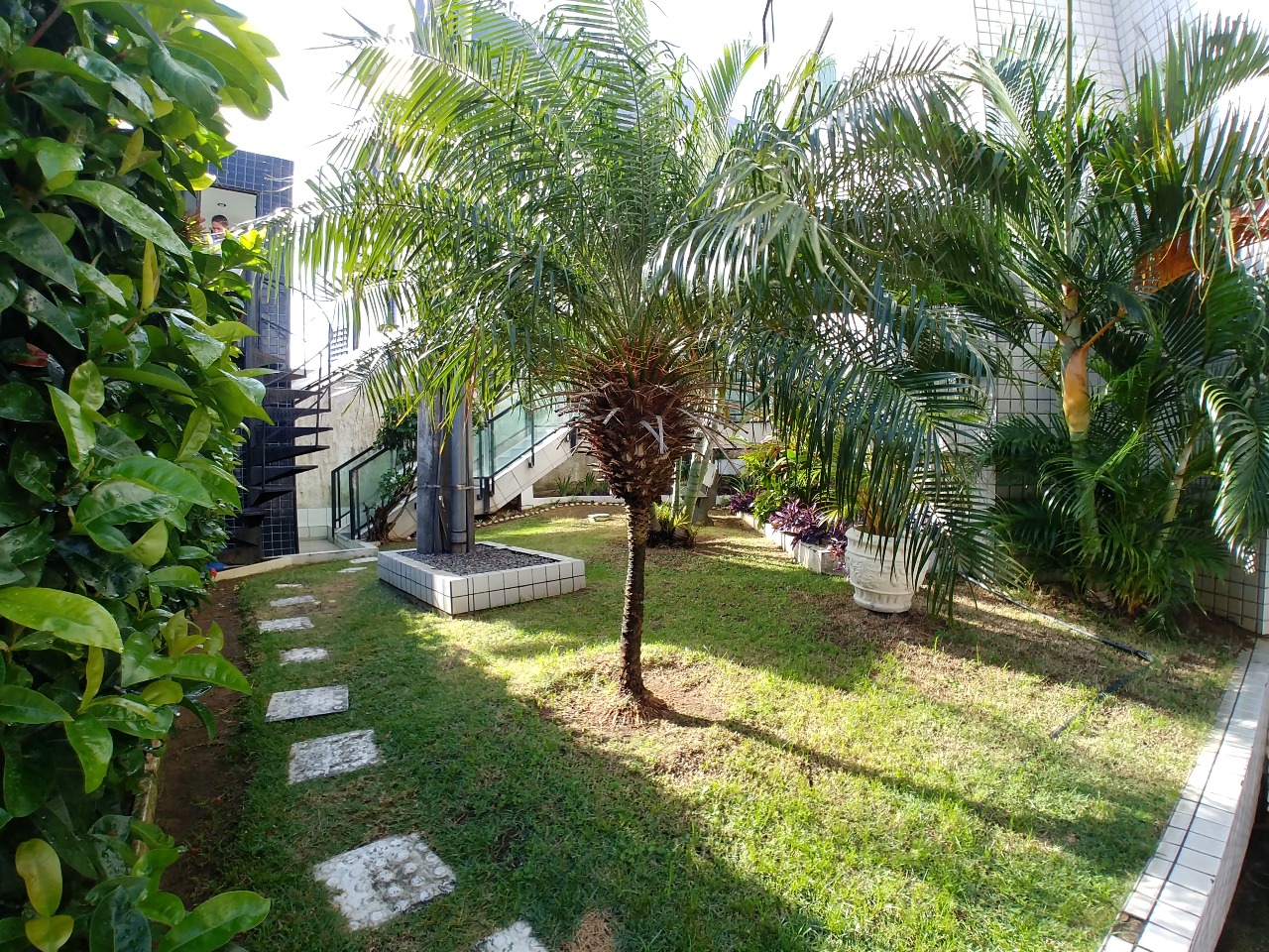 Apartamento para aluguel no Espinheiro: