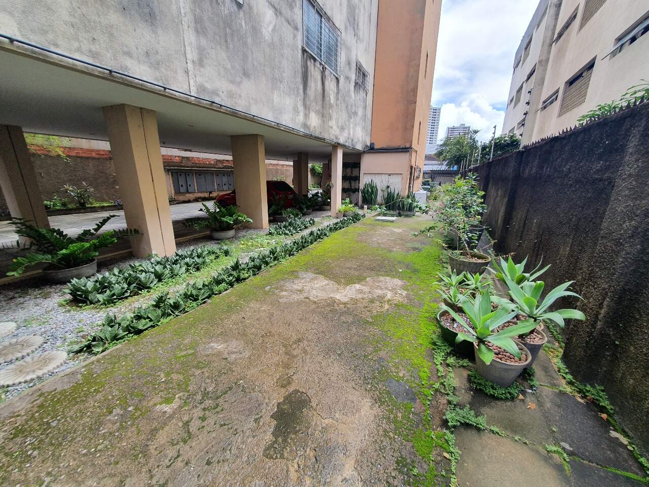 Apartamento para aluguel no Campo Grande: 