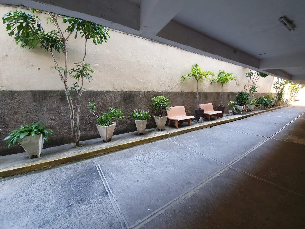 Apartamento para aluguel no Boa Vista: 