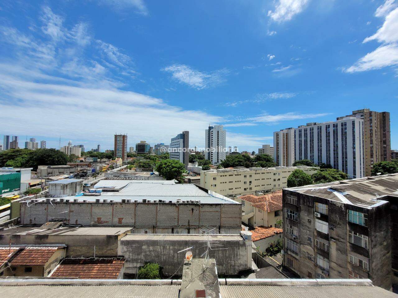 Apartamento para aluguel no Boa Vista: 