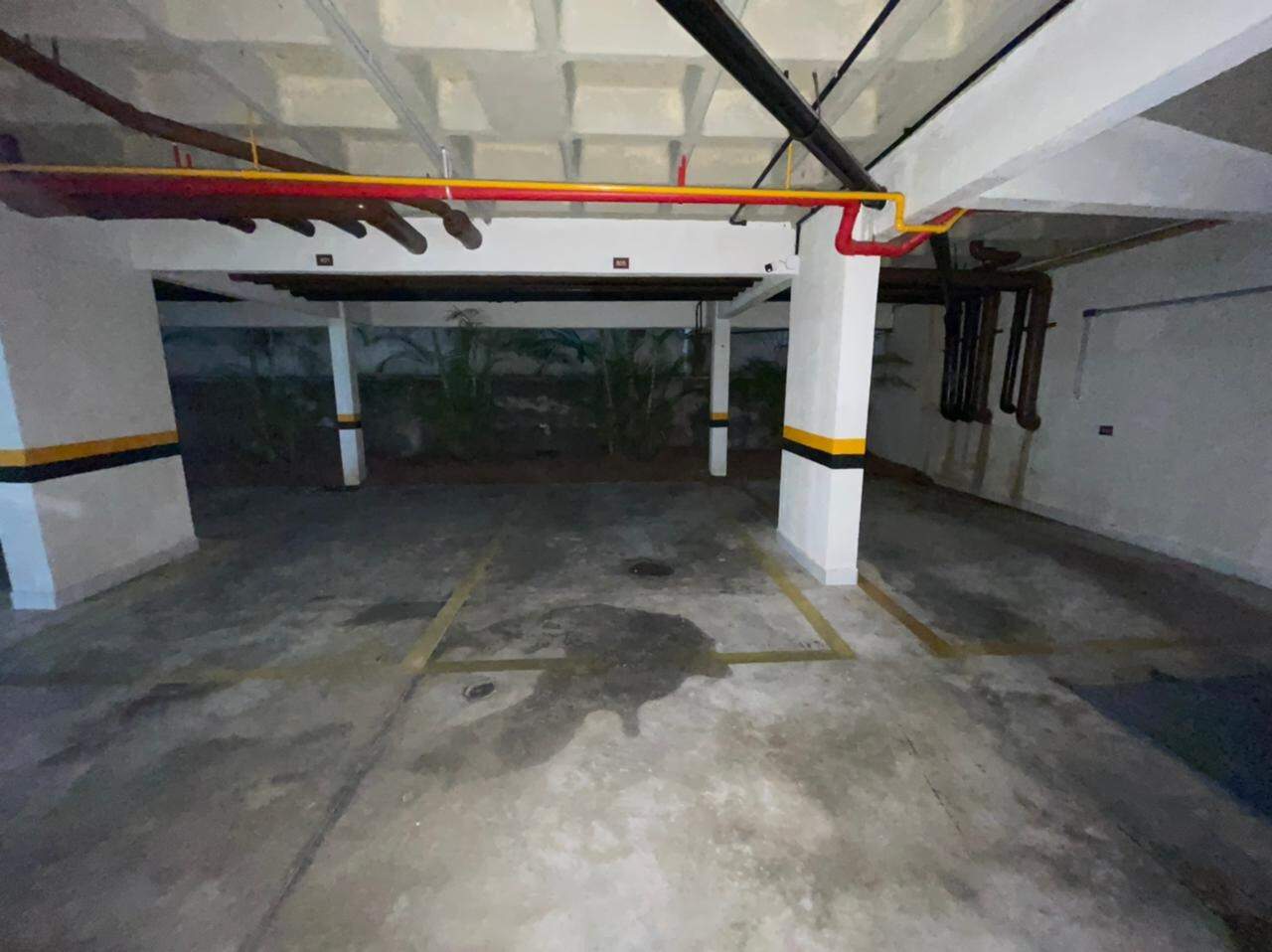 Apartamento para aluguel no Madalena: 