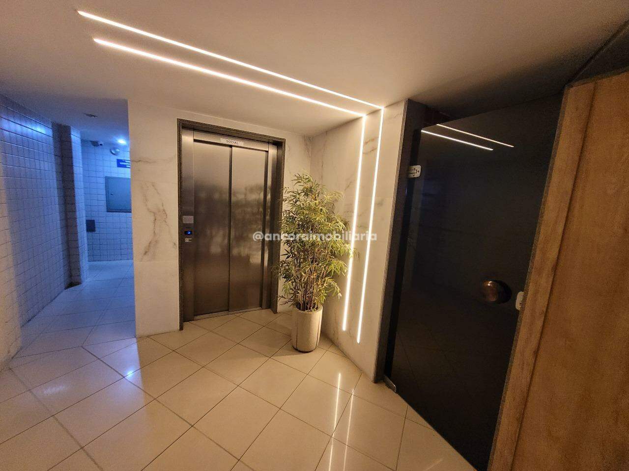 Apartamento para aluguel no Casa Amarela: 