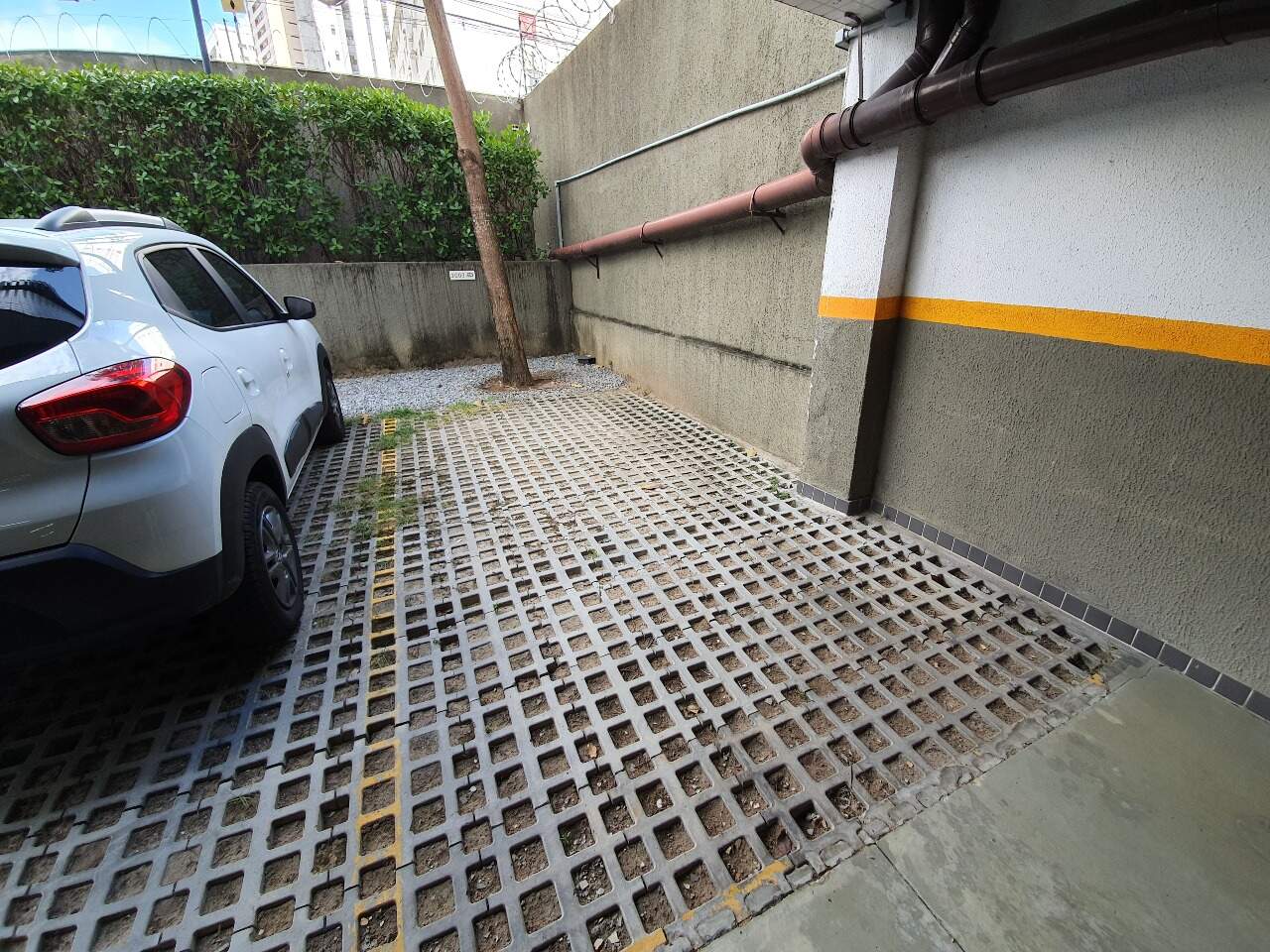 Apartamento para aluguel no Madalena: