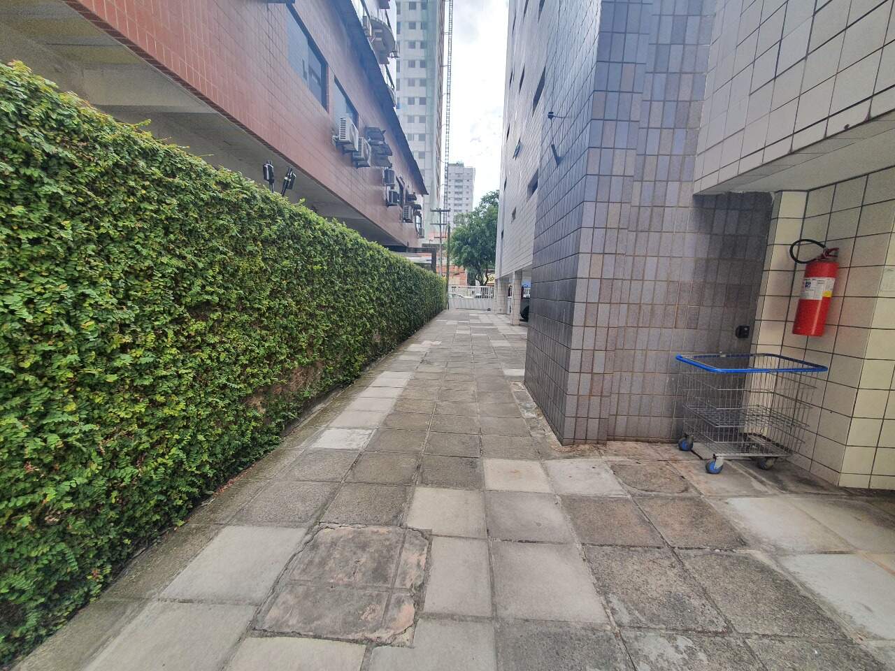 Apartamento para aluguel no Boa Viagem: 