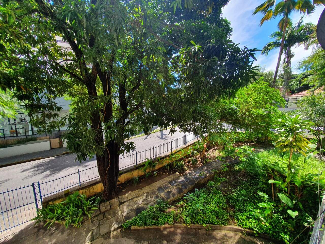 Apartamento para aluguel no Casa Amarela: