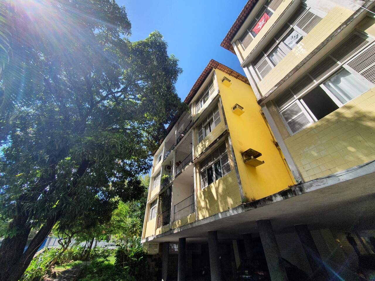 Apartamento para aluguel no Casa Amarela: 