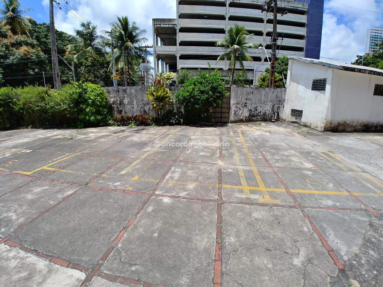 Apartamento para aluguel no Derby: 