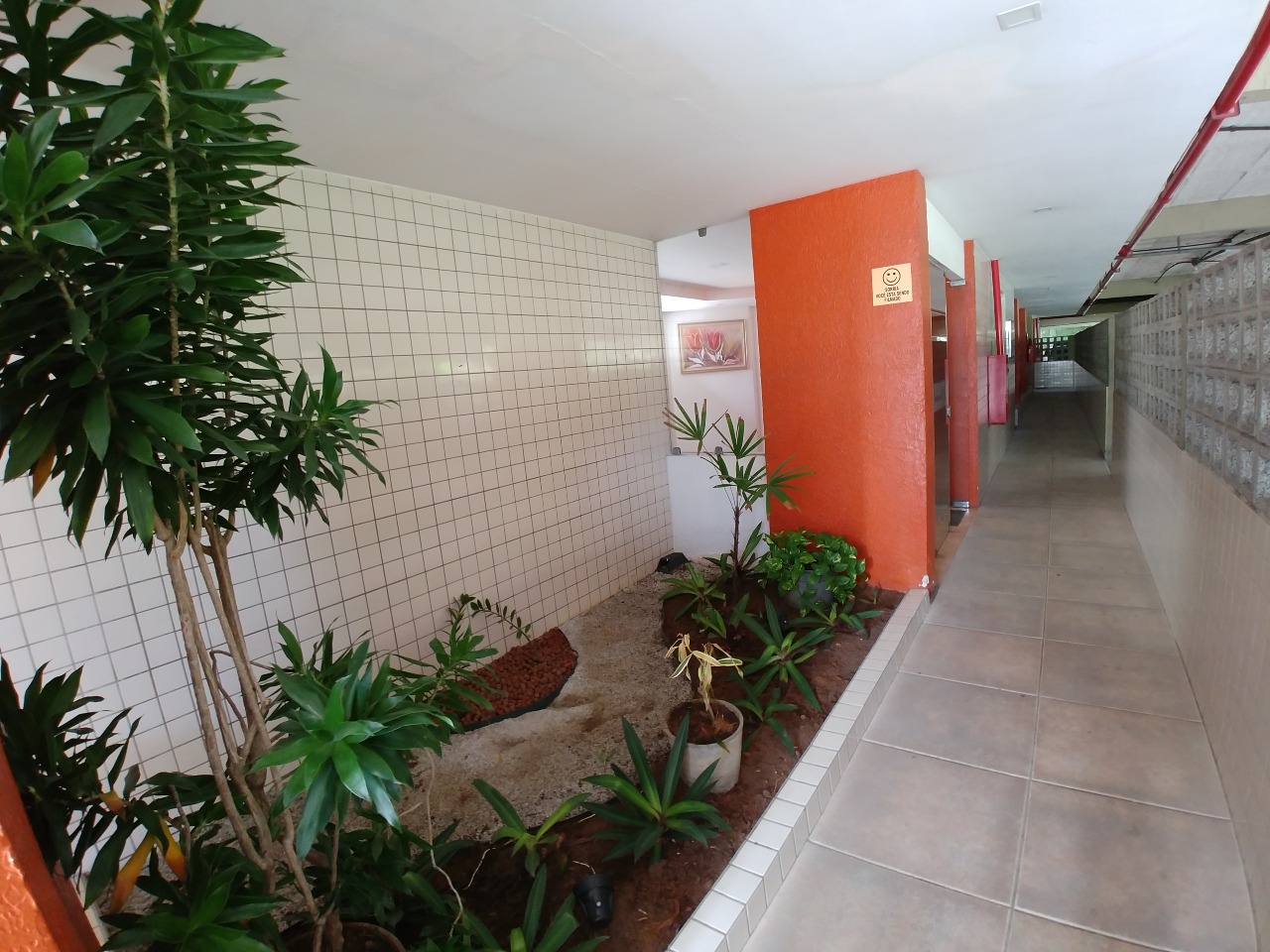 Apartamento para aluguel no Casa Amarela: 