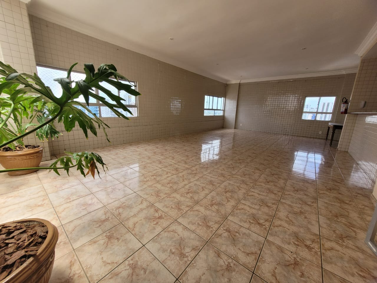 Apartamento para aluguel no Casa Amarela: 