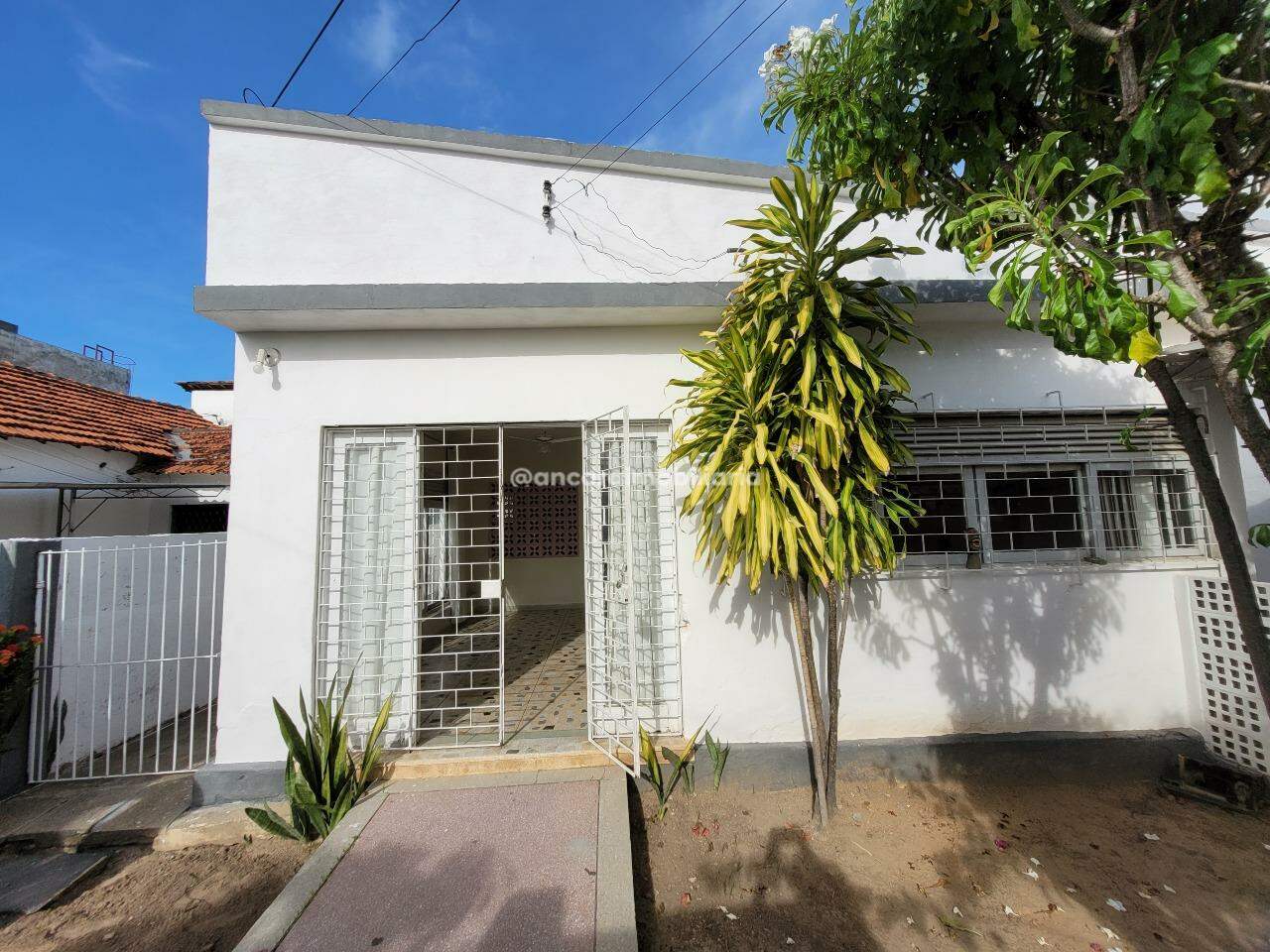Casa para aluguel no Bairro Novo: 