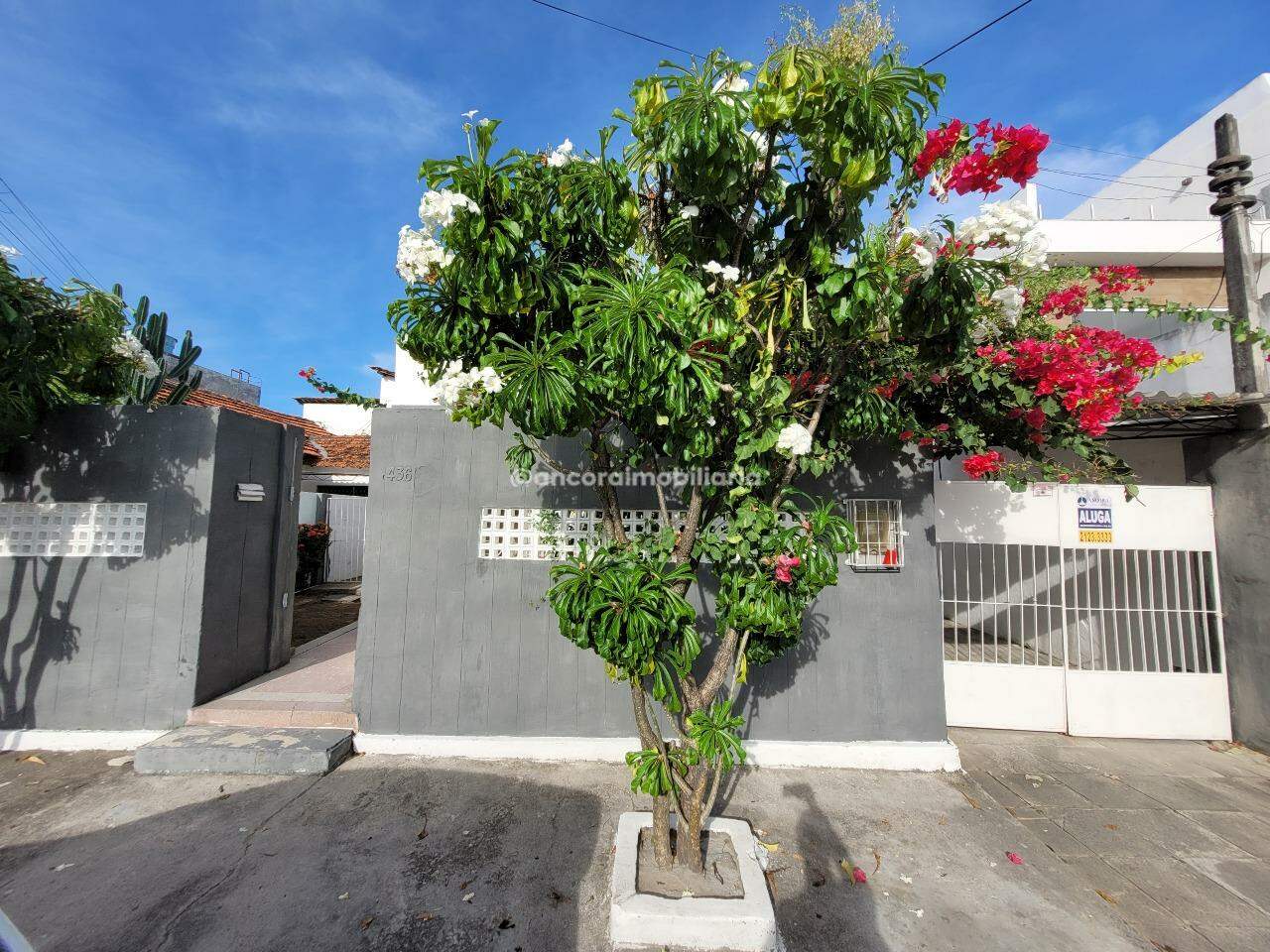 Casa para aluguel no Bairro Novo: 