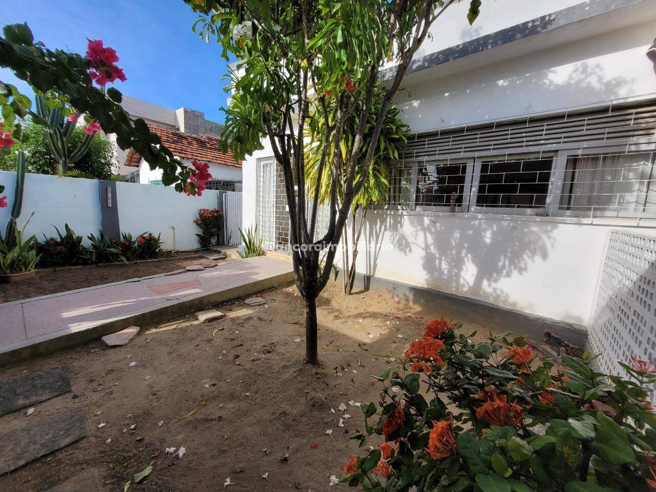 Casa para aluguel no Bairro Novo: 