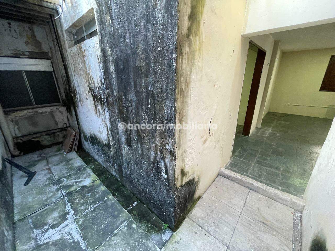 Casa para aluguel no Campo Grande: 
