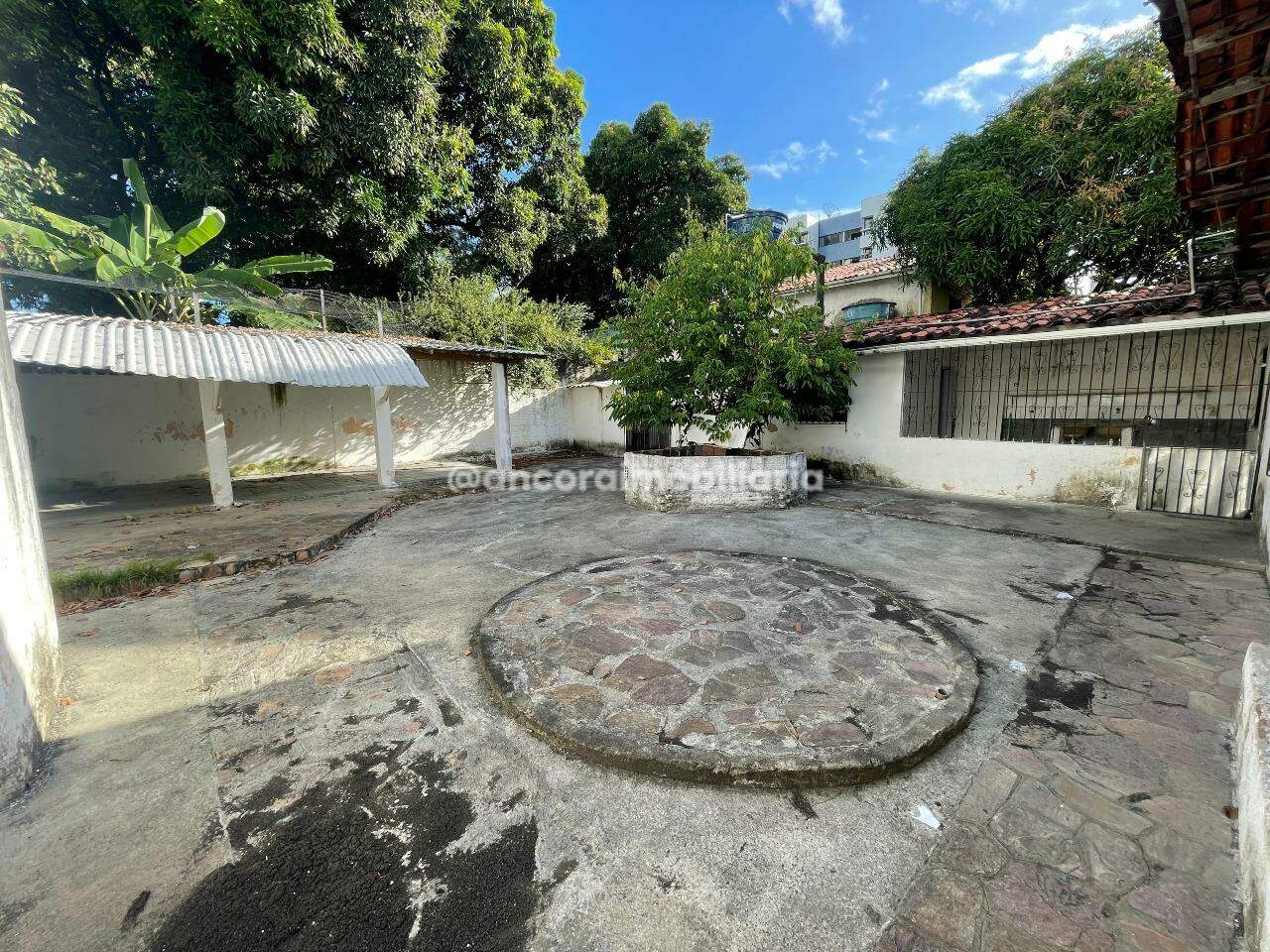 Casa para aluguel no Campo Grande: 