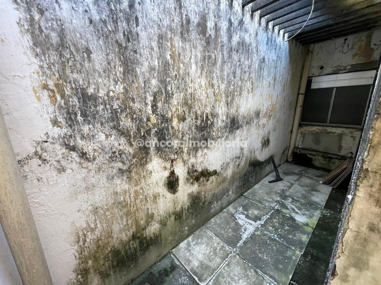 Casa para aluguel no Campo Grande: 