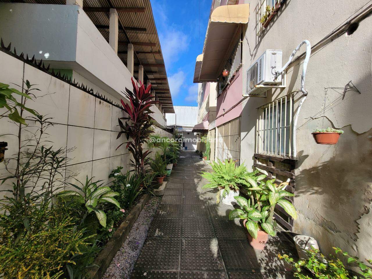 Apartamento para aluguel no Afogados: