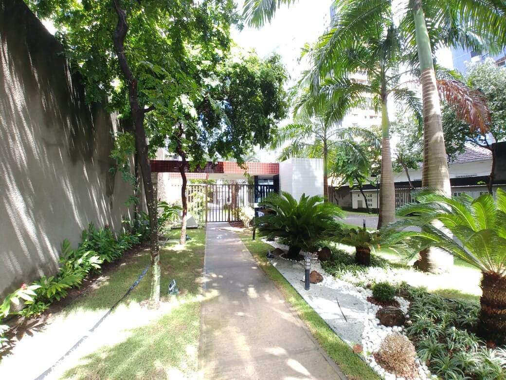 Apartamento para aluguel no Tamarineira: 
