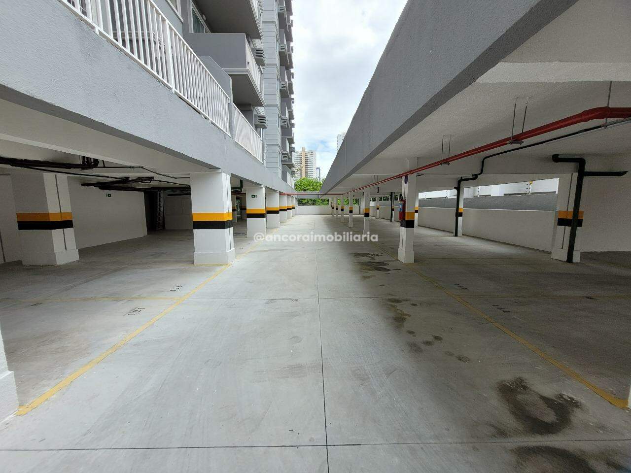 Apartamento para aluguel no Madalena: 