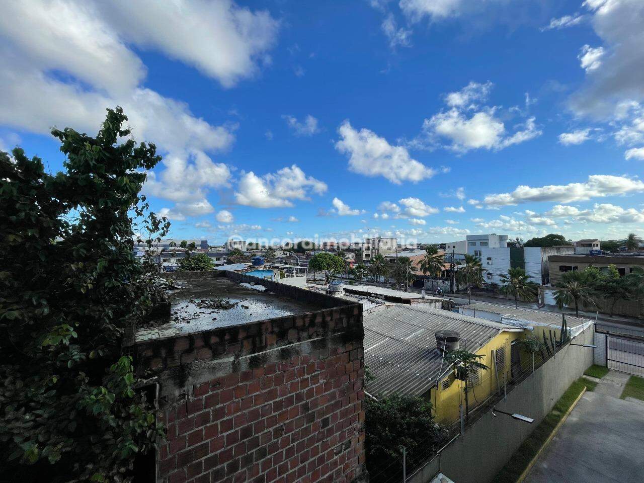 Apartamento para aluguel no Cordeiro: 