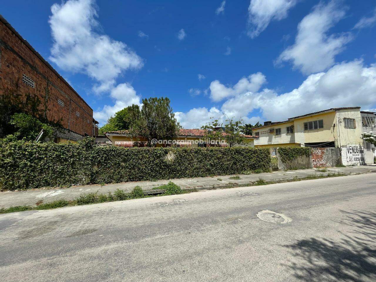 Casa Comercial para aluguel no Jiquiá: