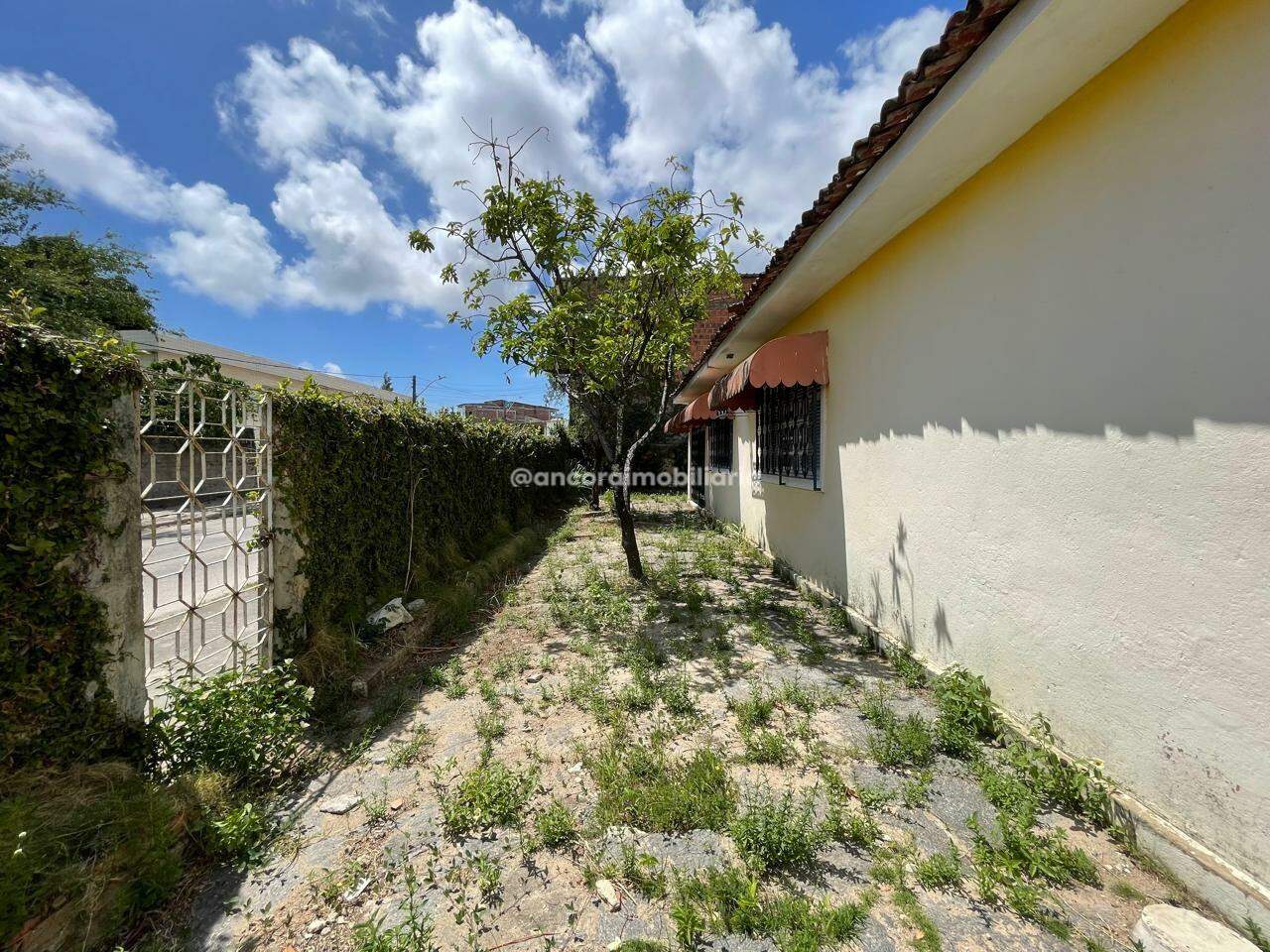 Casa para aluguel no Jiquiá: 