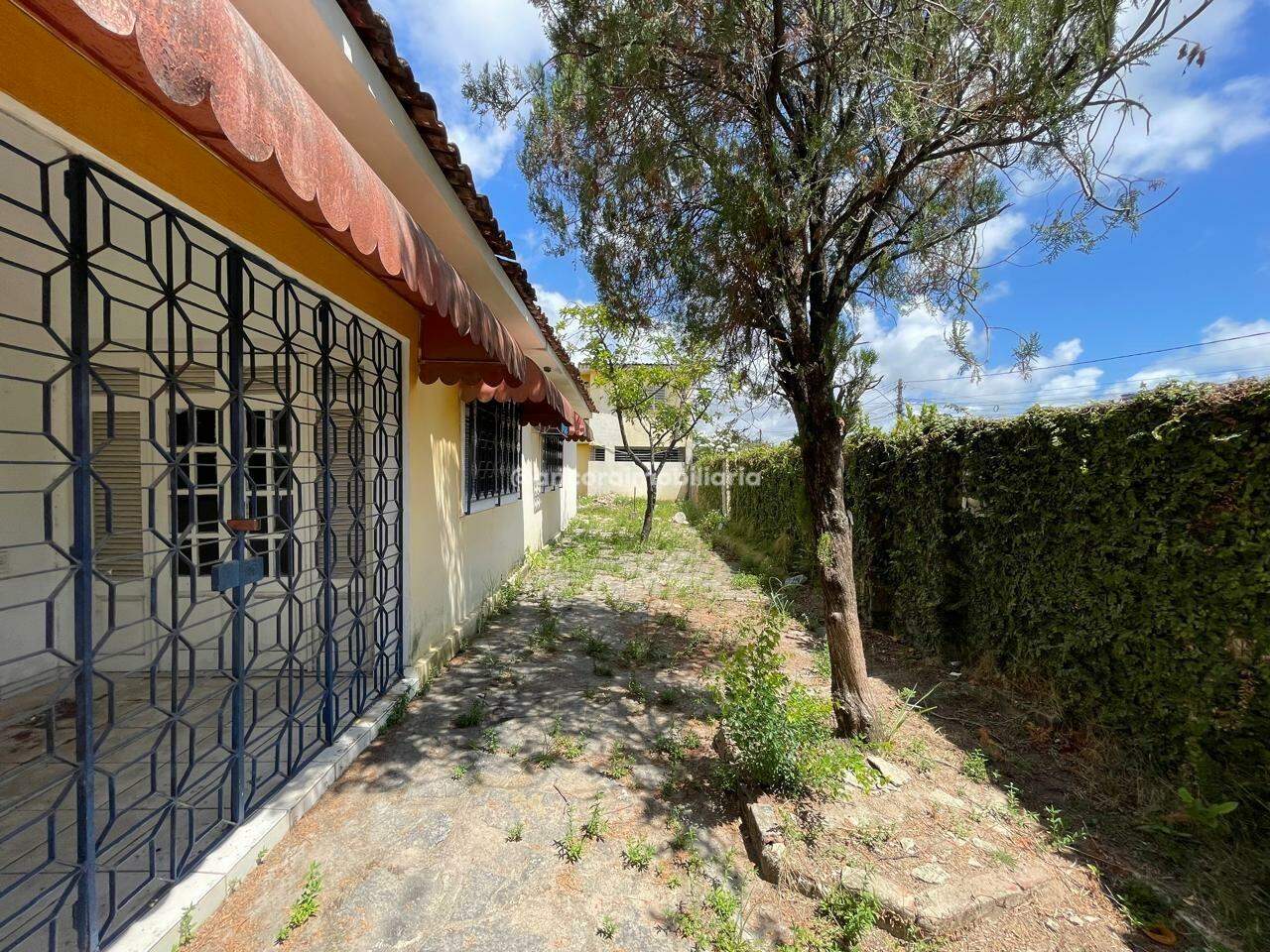 Casa para aluguel no Jiquiá: 
