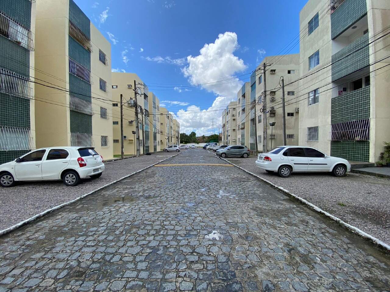 Apartamento para aluguel no Santa Mônica: 