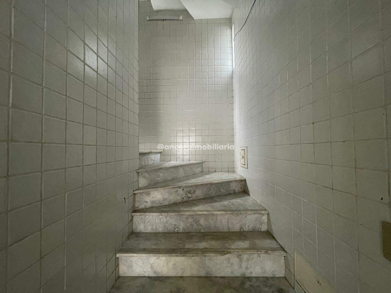 Apartamento para aluguel no Jardim Atlântico: 