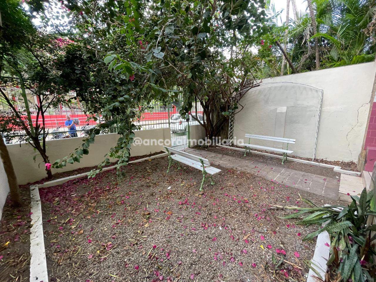 Apartamento para aluguel no Graças: 