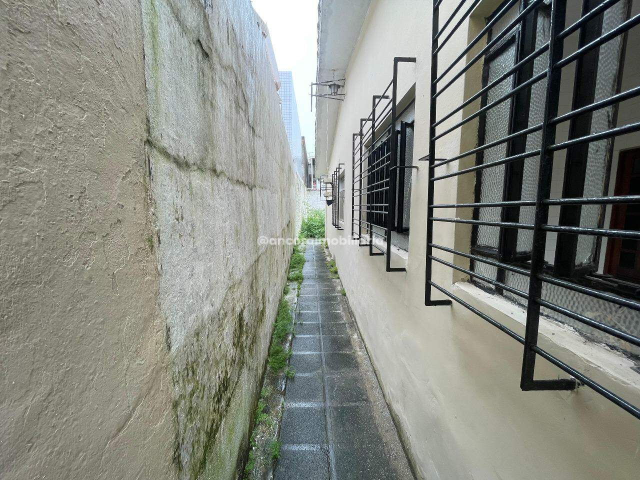 Casa para aluguel no Engenho do Meio: 
