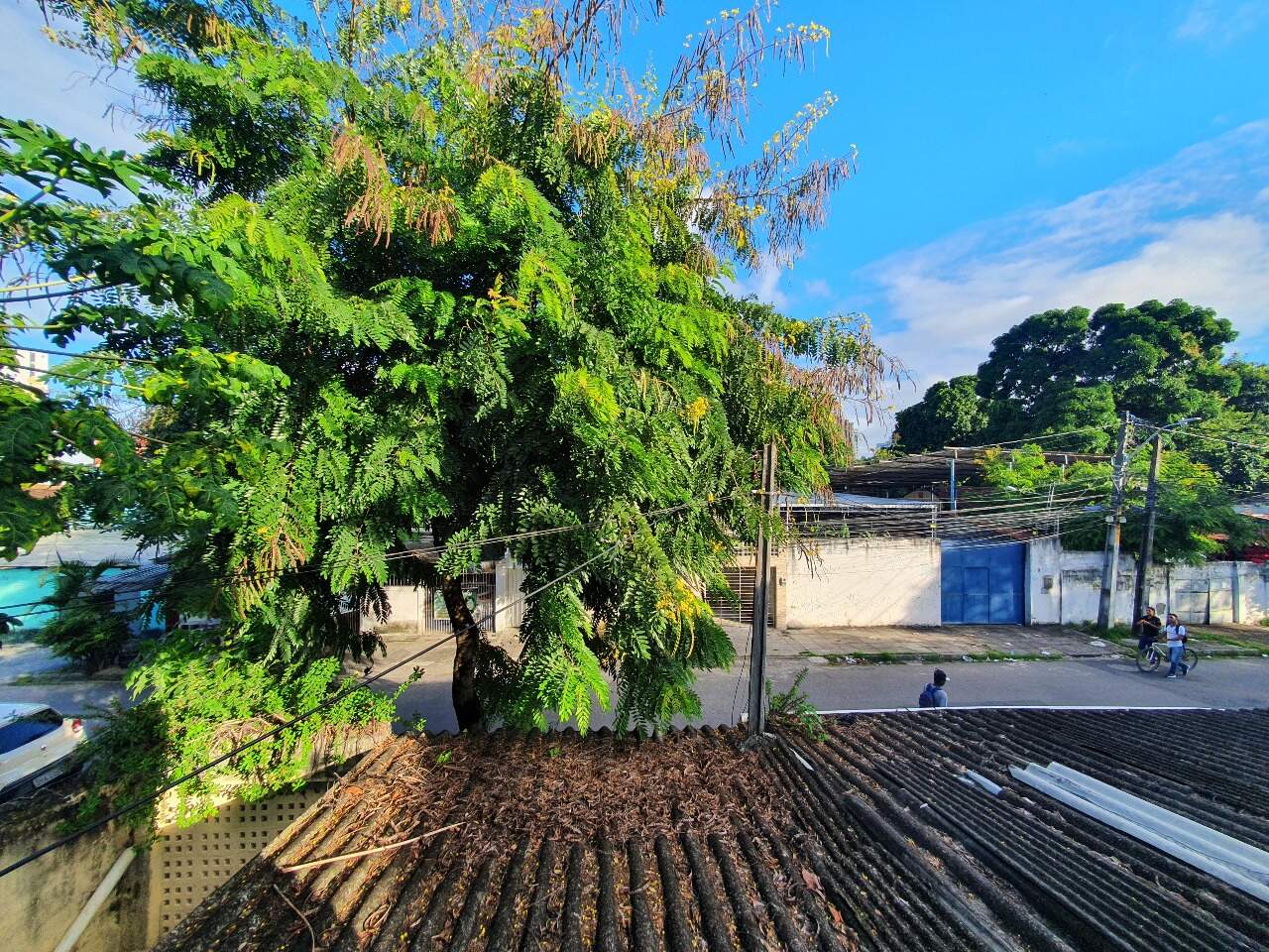 Casa à venda no Campo Grande: 