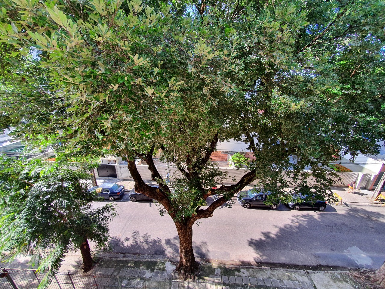 Apartamento à venda no Boa Vista: 