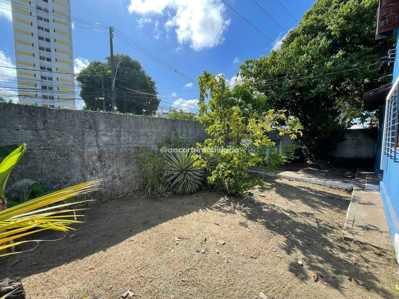 Casa para aluguel no Campo Grande: 