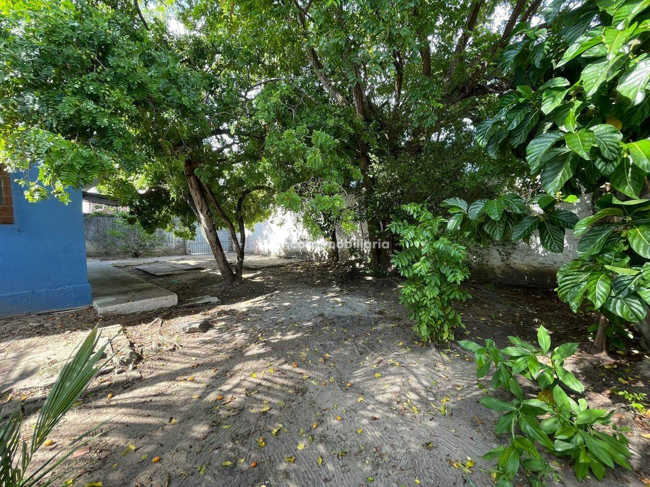 Casa para aluguel no Campo Grande: 