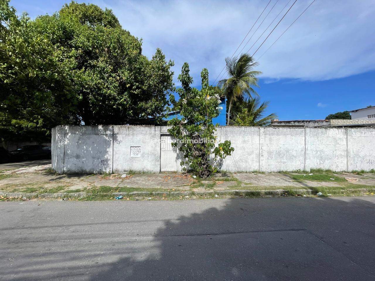 Casa para aluguel no Campo Grande: 