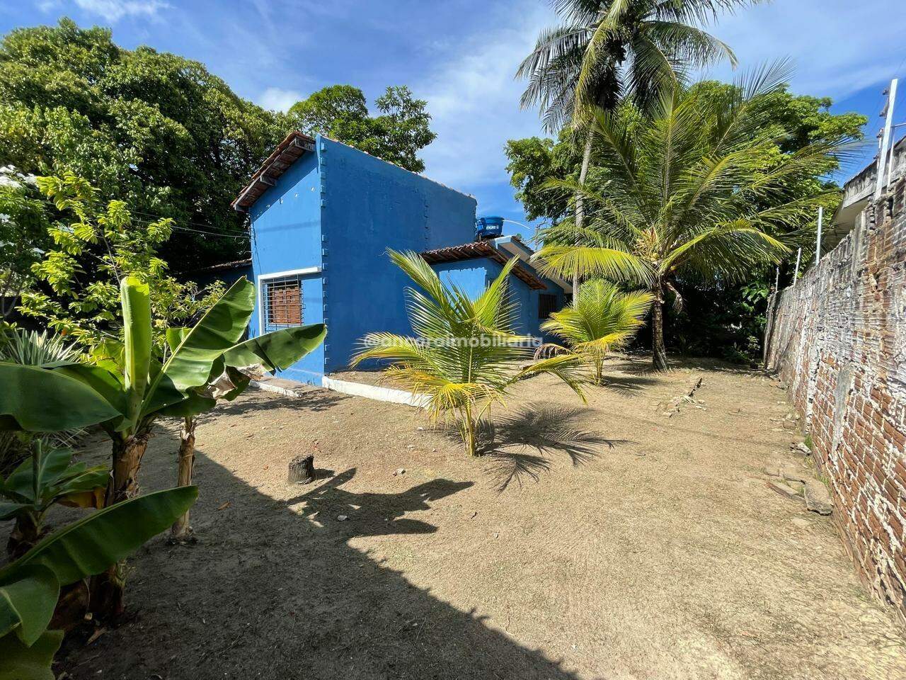 Casa para aluguel no Campo Grande: 