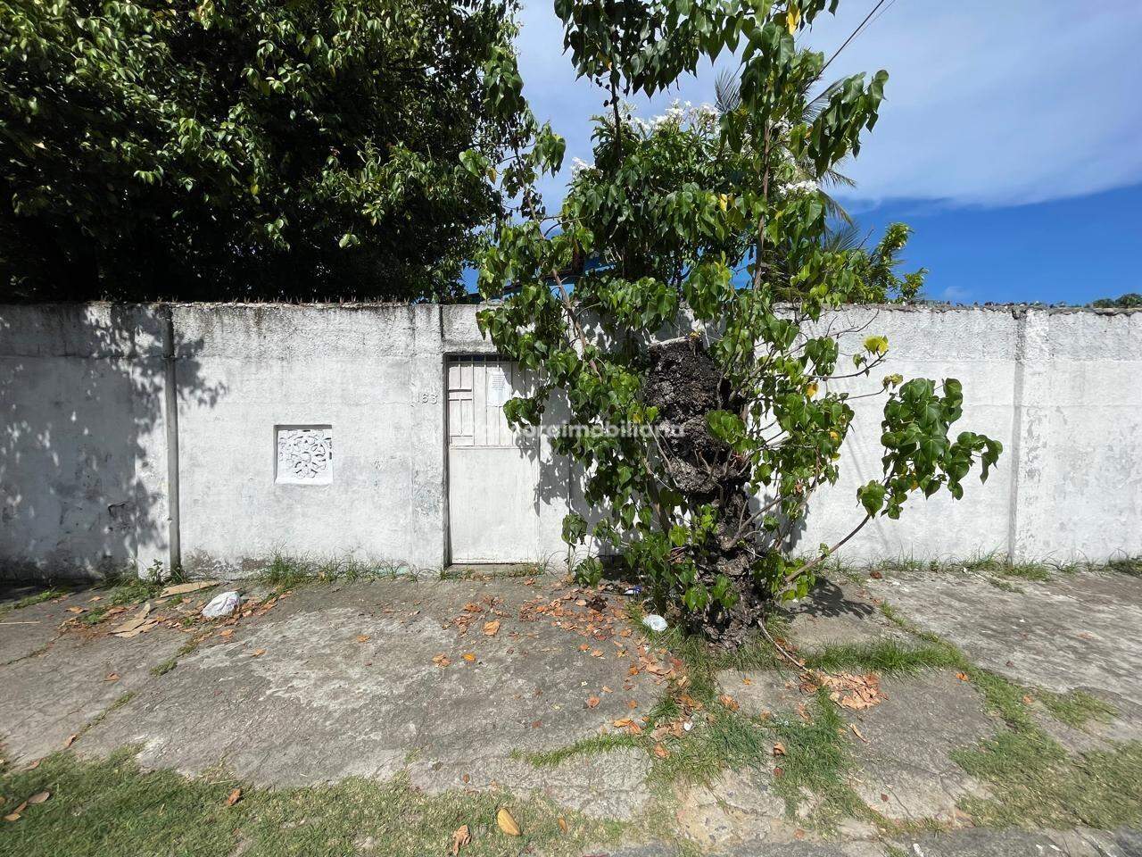 Casa para aluguel no Campo Grande: 