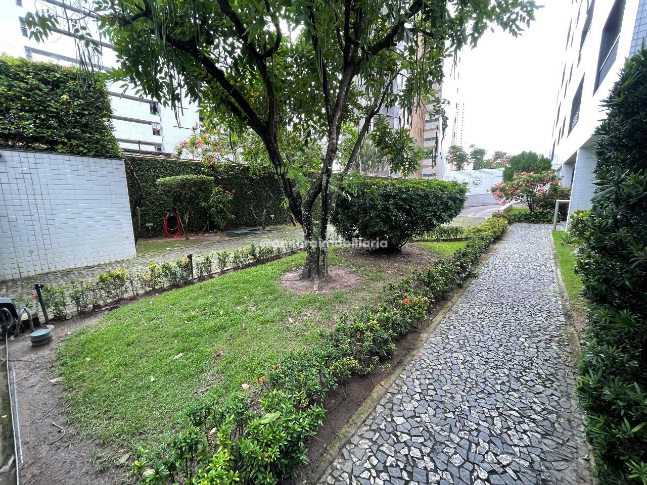 Apartamento para aluguel no Parnamirim: 