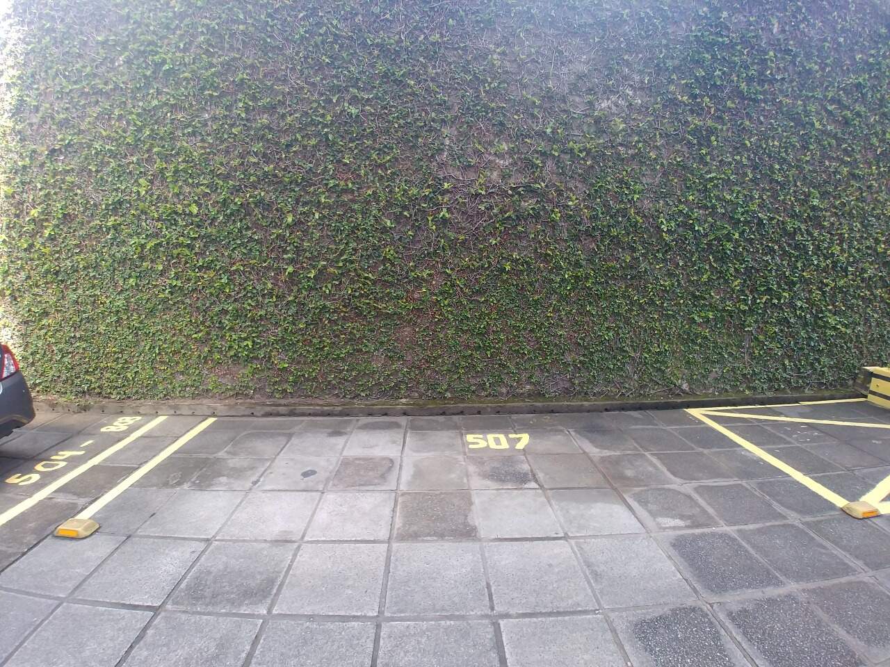 Apartamento à venda no Espinheiro: 