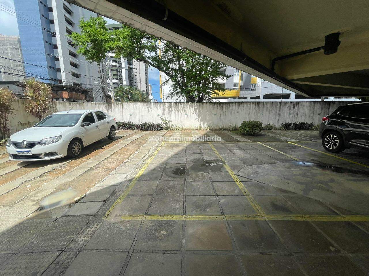 Apartamento para aluguel no Boa Viagem: 