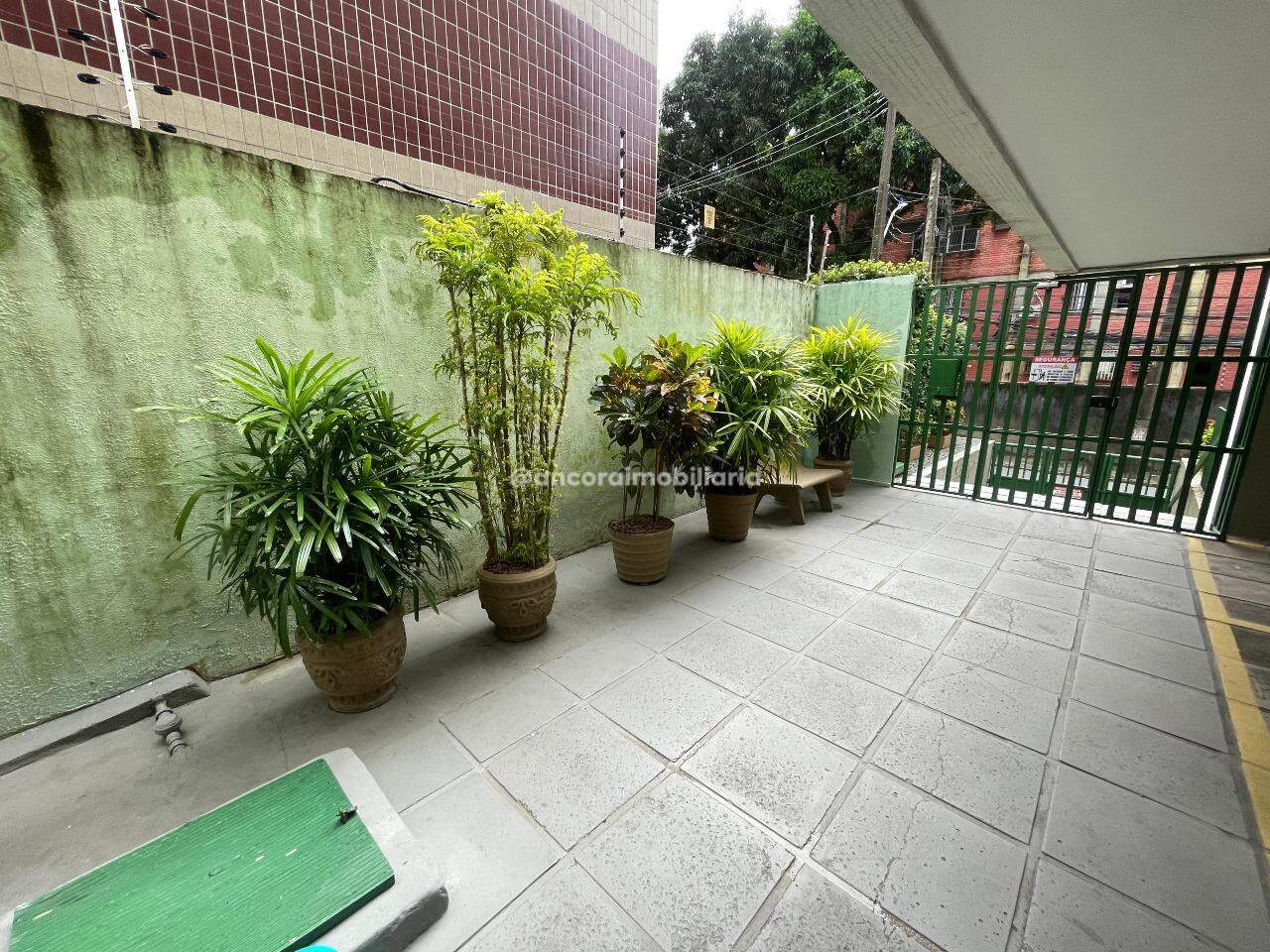 Apartamento para aluguel no Madalena: 