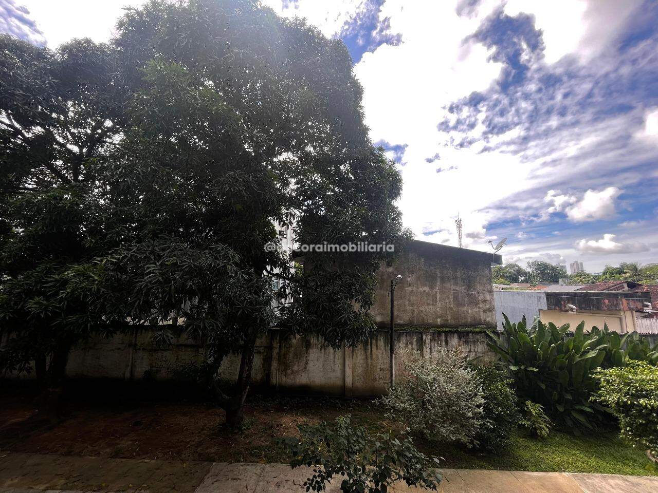 Apartamento para aluguel no Varzea: 