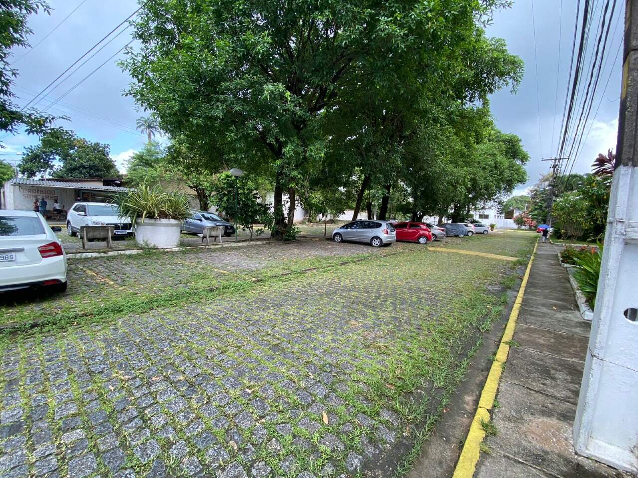 Apartamento para aluguel no Varzea: 