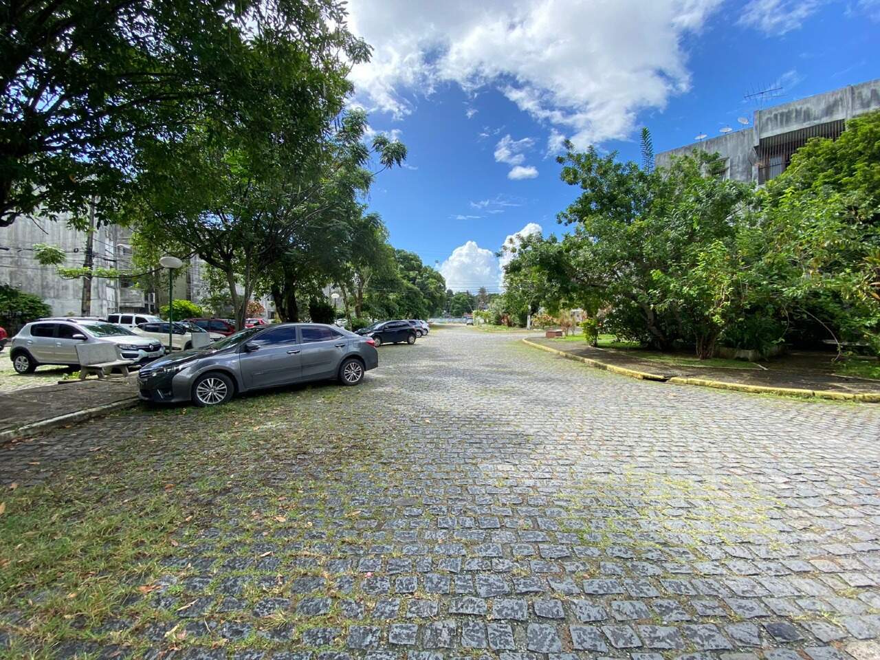 Apartamento para aluguel no Varzea: 