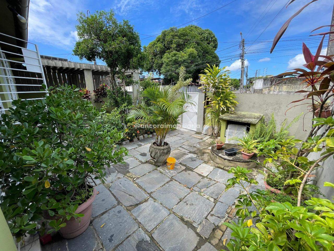 Casa para aluguel no Cordeiro: 
