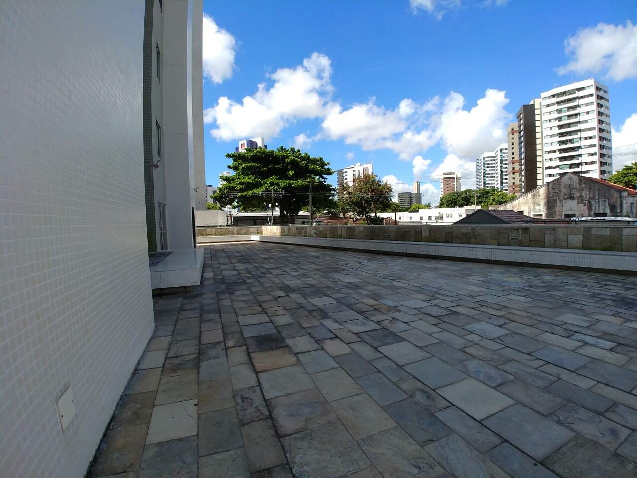Apartamento para aluguel no Tamarineira: 