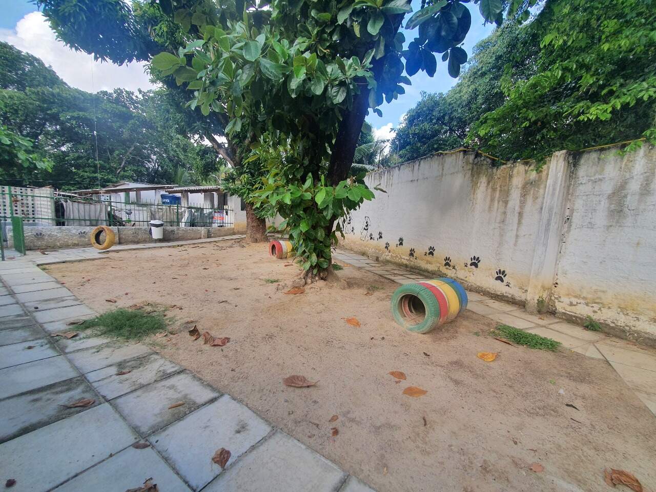 Apartamento para aluguel no Torre: